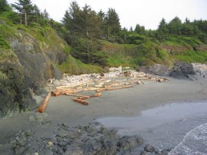 Sooke beach at Point no Point